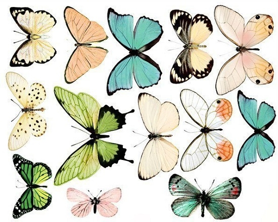 Бабочки из бумаги на стену своими руками: шаблоны