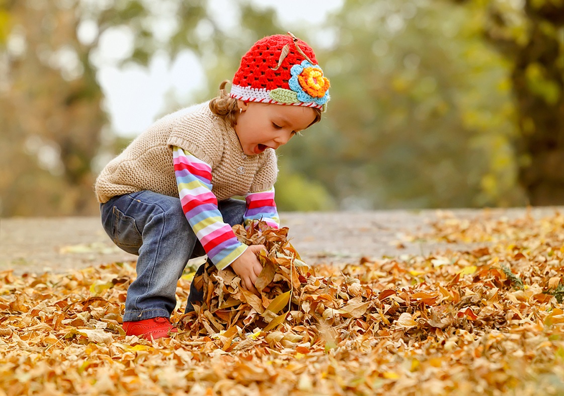 поговорки про осень для детей
