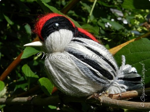 Птички из шерсти, наравне с цветами – мое любимое рукоделие. 
Милости прошу посмотреть на мою стайку птичек. фото 36