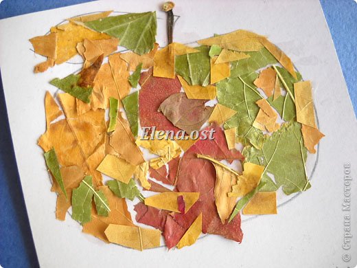 Осень, словно волшебница, разукрасила листву сказочными красками. Попадаешь в лес, словно в терем расписной. Займемся сбором красивых осенних листиков. 
Листья подсушим под прессом. 
   фото 8