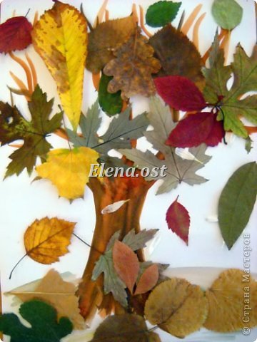 Осень, словно волшебница, разукрасила листву сказочными красками. Попадаешь в лес, словно в терем расписной. Займемся сбором красивых осенних листиков. 
Листья подсушим под прессом. 
   фото 46