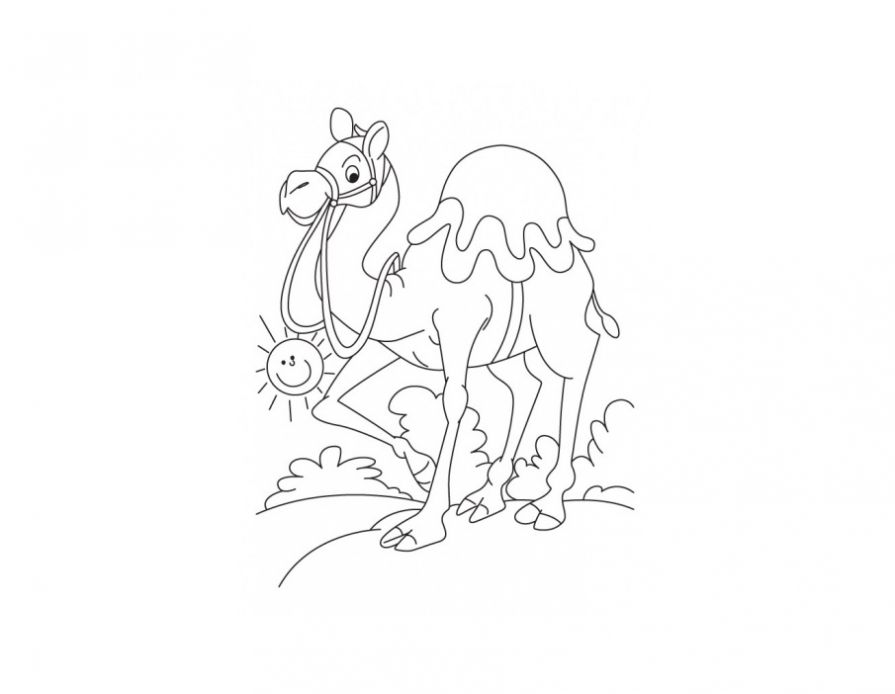 Раскраски Верблюд - Сайт для мам 