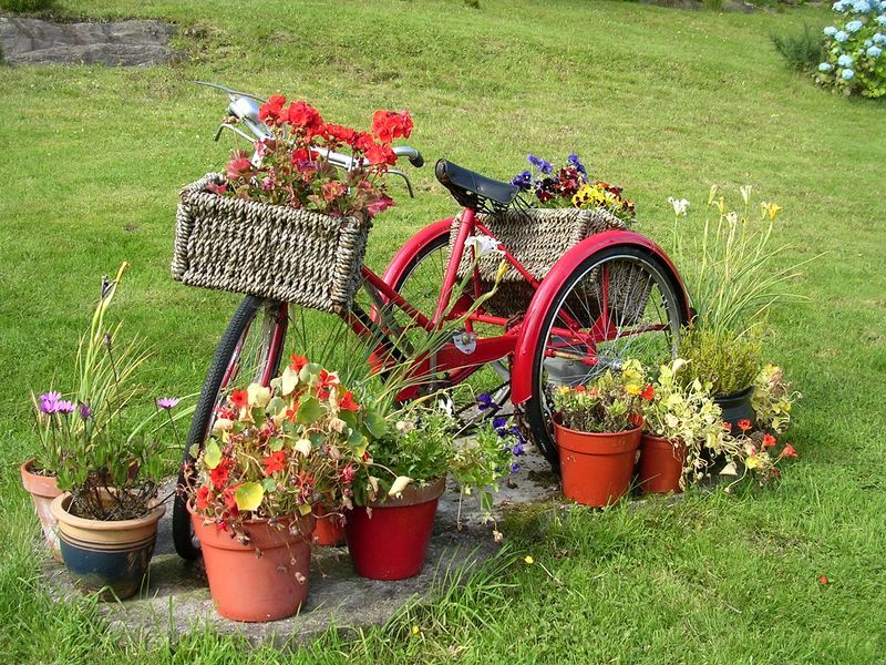 старый велосипед как клумба в саду