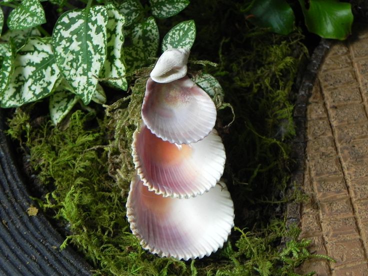 Miniature Fairy Garden Fountain 3 tier shells by TheLittleHedgerow