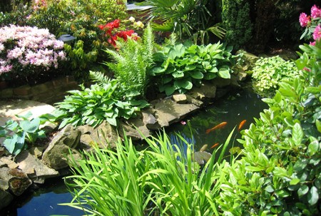 Садовый пруд с рыбками своими руками