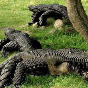 Крокодилы из автомобильных шин