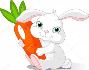 Конспект НОД по ФЭМП в средней группе «Угостим зайчика морковкой»