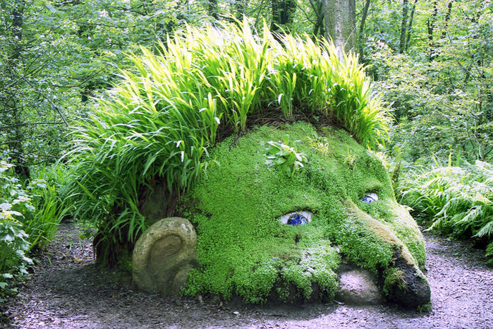 Голова садовая: мох в роли главного действующего лица в ландшафтном дизайне