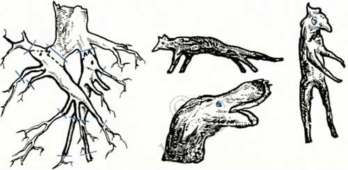 поделки - из корней и веток деревьев 
