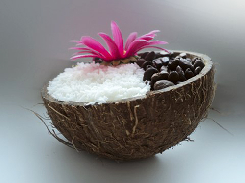 Что можно сделать из кокоса: идеи для творчества