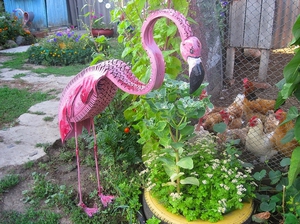 Самодельный фламинго на участке создан из покрышек.