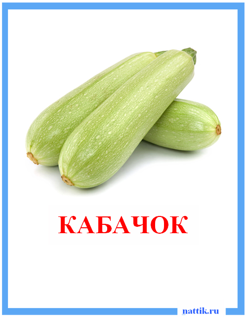 kartochki_ovoschi_kabachek