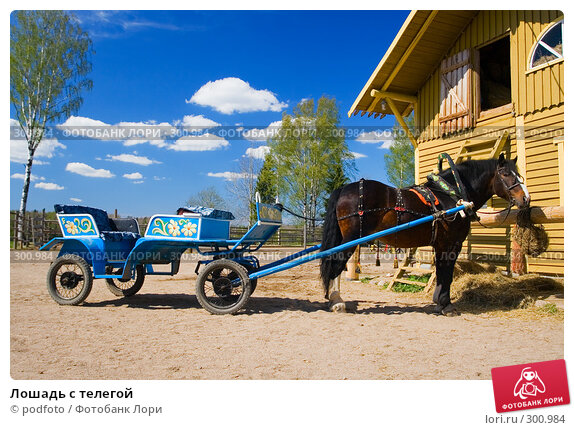 Лошадь с телегой ; фотограф podfoto; дата 