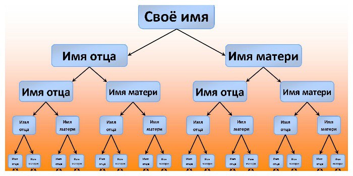 Схема составления родословного дерева