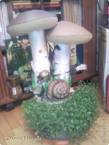 Мои грибочки на окошке в детском саду... фото 3