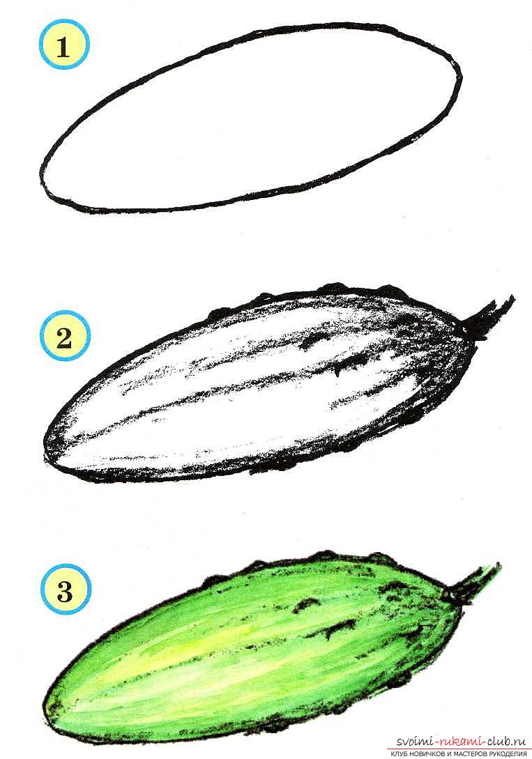 Традиционное рисование овощей и фруктов в старшей группе. Фото №3