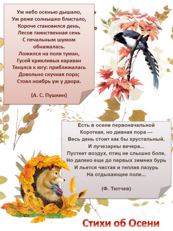 Календарь природы Осень