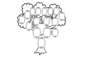 как нарисовать семейное дерево 9