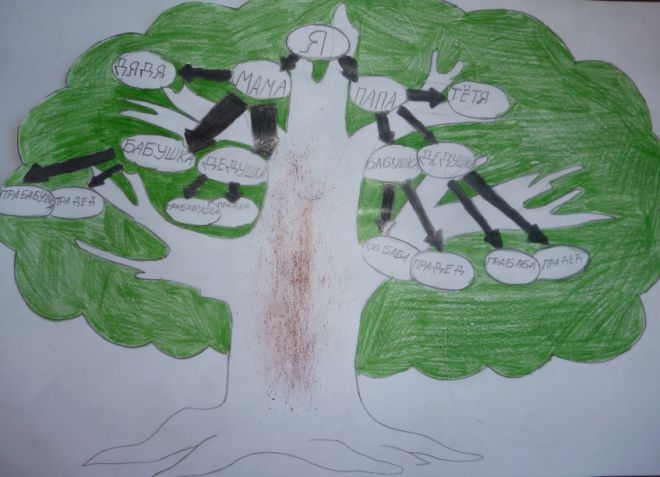 Как нарисовать семейное дерево в школу9