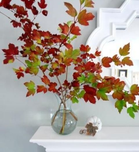 красные листья - настоящее украшение 