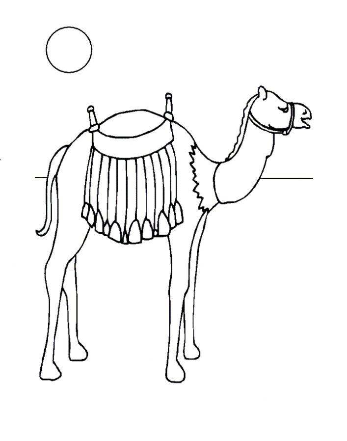 Раскраски Верблюд - Сайт для мам 