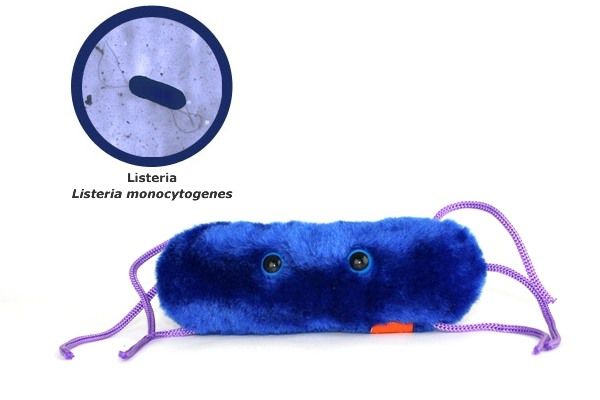 мягкие игрушки бактерии