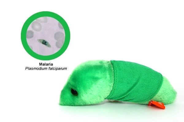 мягкие игрушки бактерии