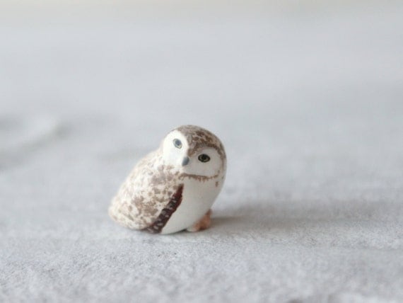 Baby Burrowing owl- The Totem Nursery