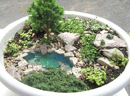 miniature fairy garden. great tips, such as, using small pea gravel for better drainage in the bottom of the pot and using a birdbath as a fairy garden. // thenester